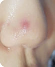 ݷƤ